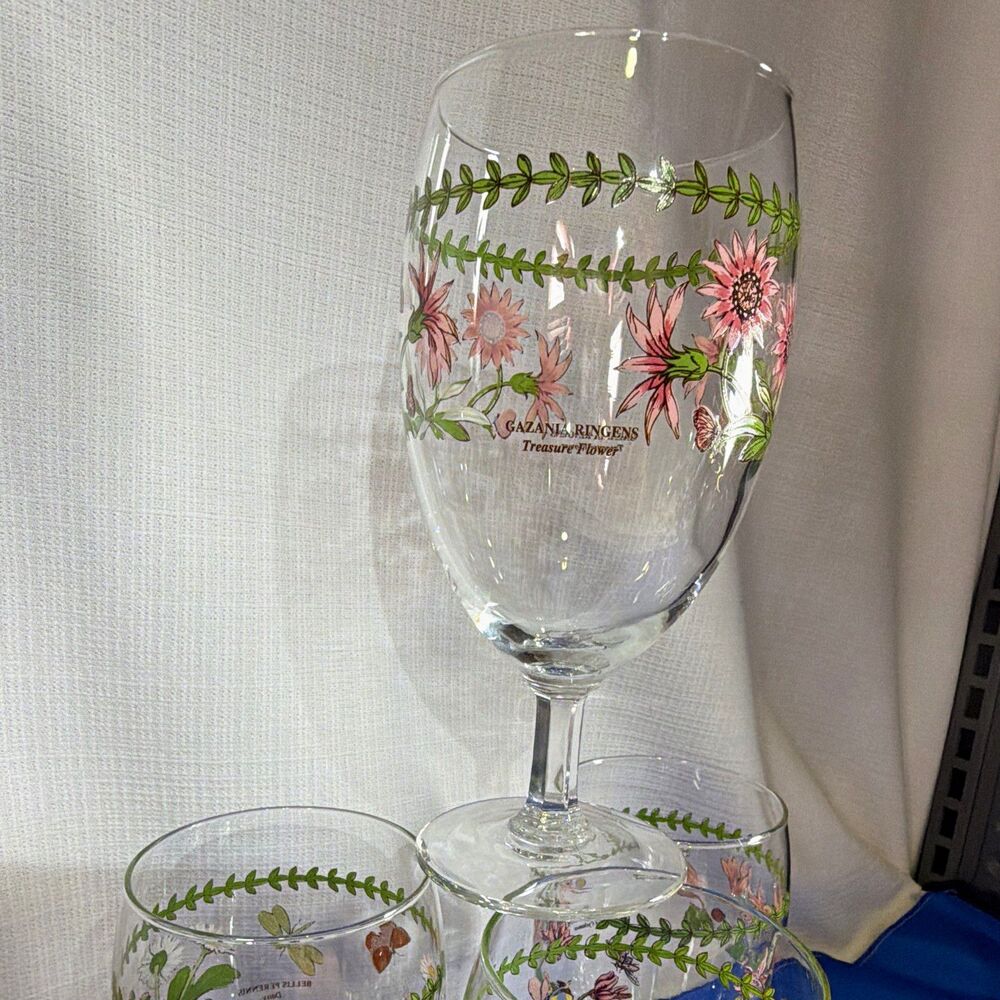Vintage Portmeirion Botanic Garden Stemmed Iced Tea Wine Goblet Glasses Set of 4